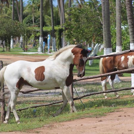 Fazenda Fiore Resort 帕里普埃拉 外观 照片