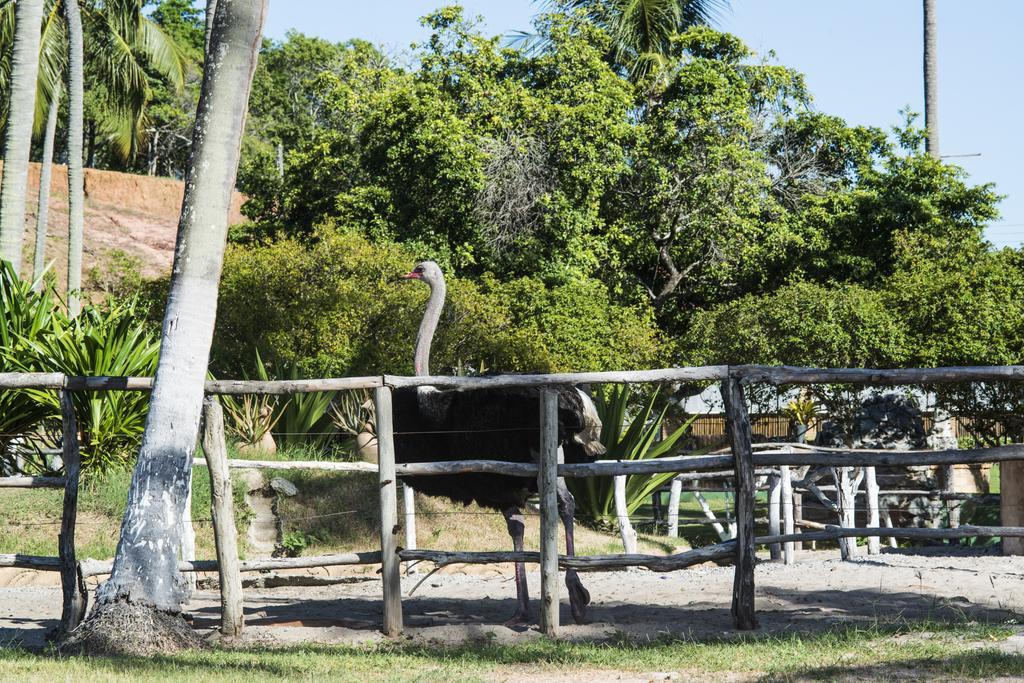 Fazenda Fiore Resort 帕里普埃拉 外观 照片