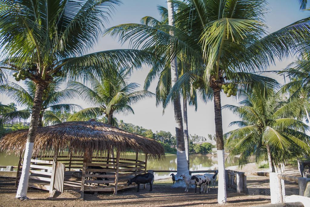 Fazenda Fiore Resort 帕里普埃拉 外观 照片