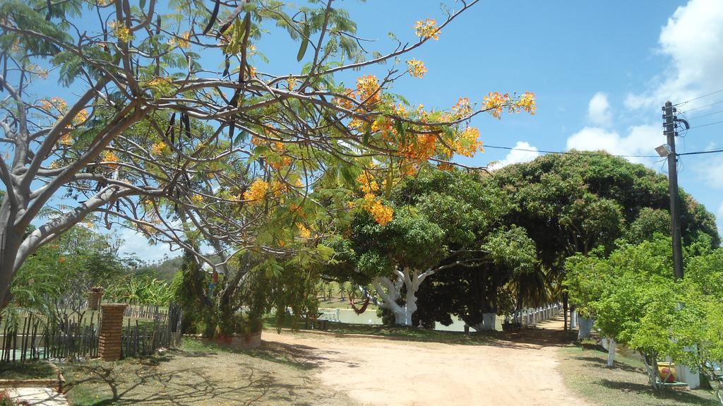 Fazenda Fiore Resort 帕里普埃拉 外观 照片