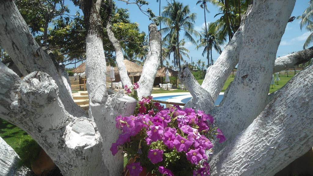Fazenda Fiore Resort 帕里普埃拉 外观 照片